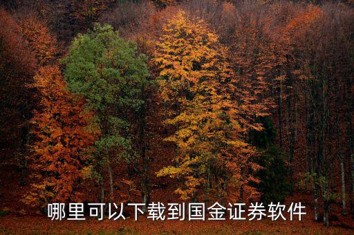 國(guó)金證券用的什么軟件，國(guó)金證券手機(jī)怎樣下載