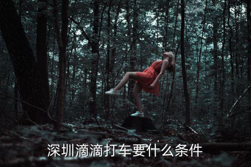 深圳交通滴滴有什么政策，申請深圳滴滴對司機有些什么要求嗎