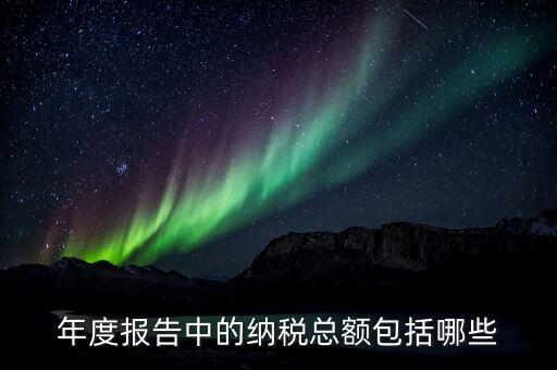年完稅額是什么，稅后年薪中的稅具體是指什么稅