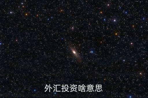 外匯融資是什么意思，外匯投資啥意思