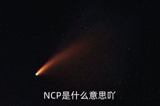 可比企業(yè)ncp是什么簡(jiǎn)稱，NCP是什么意思吖
