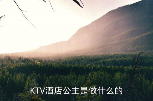 酒店出臺(tái)是干什么的，KTV酒店公主是做什么的