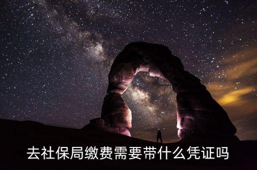 去社保局申報(bào)年度繳費(fèi)工資需要帶什么證件，去社保局繳費(fèi)需要帶什么憑證嗎