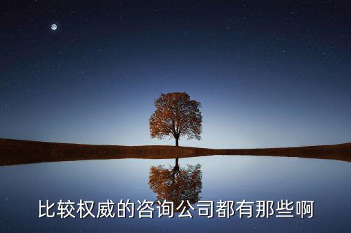 艾瑞和易觀(guān)是什么公司，易觀(guān)國(guó)際有幾個(gè)子公司