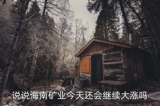 說說海南礦業(yè)今天還會(huì)繼續(xù)大漲嗎