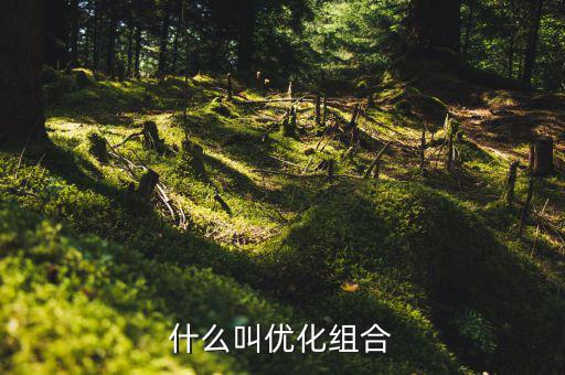優(yōu)化重組是什么書，什么叫優(yōu)化組合