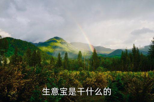 生意寶屬于什么版塊，生意寶聽說過嗎聽說能快速賺錢是真的假的