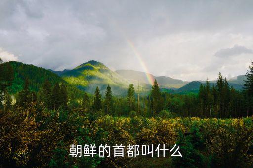 朝鮮總統(tǒng)府叫什么，朝鮮元首有專(zhuān)門(mén)的住所嗎有的話在哪