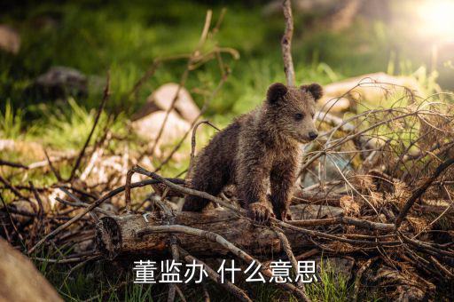 什么是董監(jiān)事會，董監(jiān)辦 什么意思