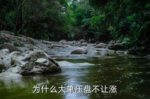 大單壓盤不讓漲是什么意思，為什么在巨單壓盤為什么不讓漲