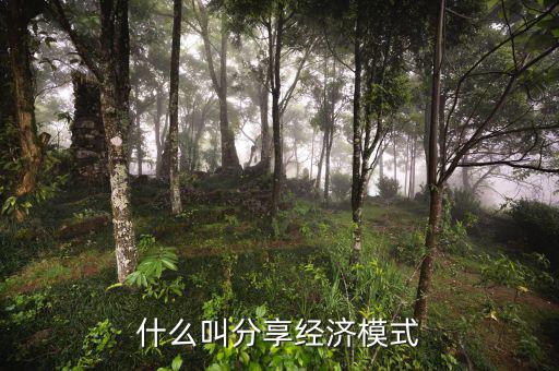 什么是分享經(jīng)濟(jì)，通俗講什么是分享經(jīng)濟(jì)