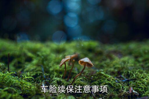 三大優(yōu)質(zhì)業(yè)務(wù)續(xù)保需要注意什么，保險(xiǎn)要到期了問一下續(xù)保需要注意啥