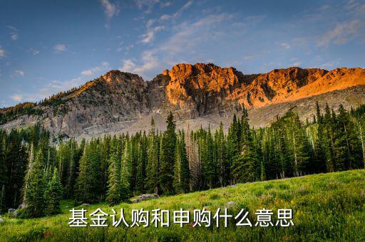 基金認(rèn)申購(gòu)什么意思，基金中的認(rèn)購(gòu)是什么意思
