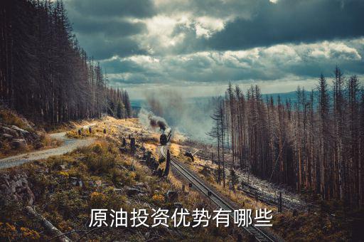 國家對(duì)投資原油有什么扶持，原油是國家支持的嗎