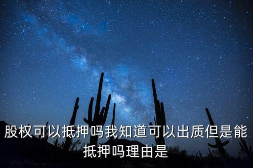 股權(quán)為什么不能抵押，股權(quán)可不可以進(jìn)行抵押