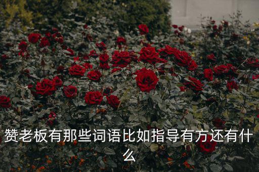 什么成語能夠形容房地產(chǎn)老板，贊老板有那些詞語比如指導有方還有什么
