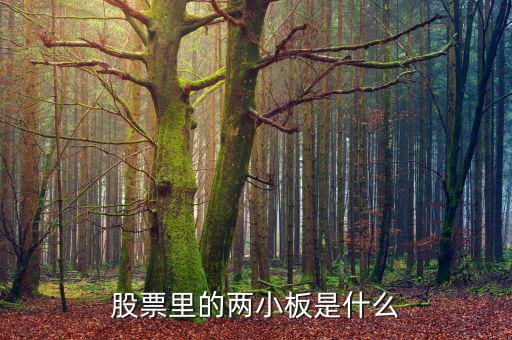 股票兩小板指什么，股票里的兩小板是什么