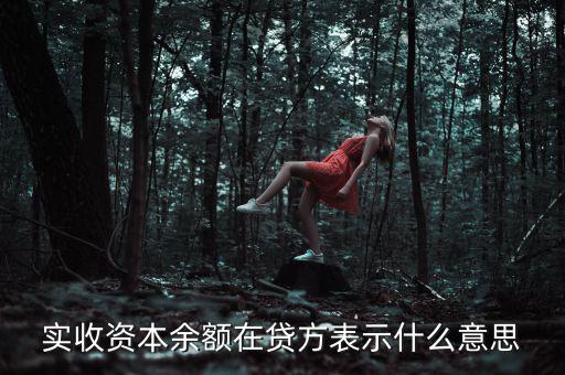 什么是資本余額，什么是資本性資金誰知道請告訴我謝謝