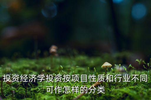 什么是公共消費(fèi)性投資，如何理解消費(fèi)投資