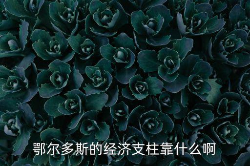 為什么鄂爾多斯經(jīng)濟(jì)發(fā)展，鄂爾多斯市是什么原因讓其發(fā)展如此迅猛