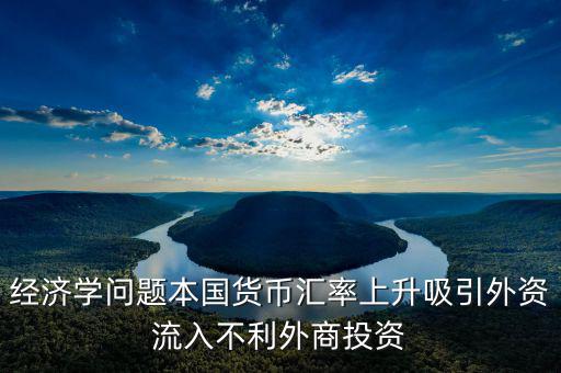 經(jīng)濟(jì)學(xué)問題本國(guó)貨幣匯率上升吸引外資流入不利外商投資