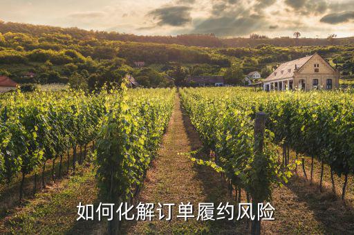 什么訂單執(zhí)行風(fēng)險，淘寶訂單險的問題