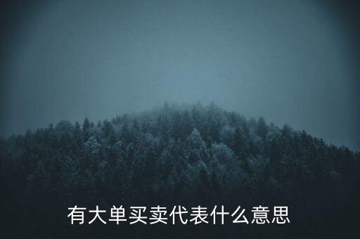在買5成交有大單是什么意思，股票中大單是什么意思
