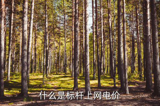 什么是標(biāo)桿電價(jià)，什么是標(biāo)桿上網(wǎng)電價(jià)