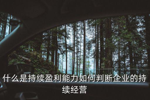 什么是持續(xù)盈利能力，什么是具備持續(xù)贏利能力的行業(yè)