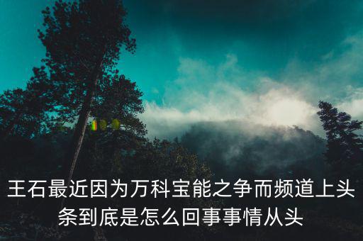 王石現(xiàn)在忙什么，王石現(xiàn)在在干什么