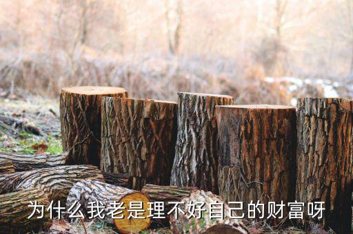 財(cái)富為什么不好說說理由，我?guī)蛣e人回答問題為什么說財(cái)富不足