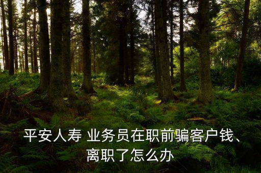  平安人壽 業(yè)務(wù)員在職前騙客戶(hù)錢(qián)、離職了怎么辦