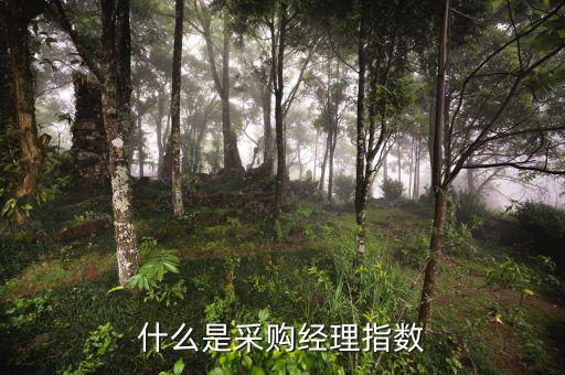 什么是采購經理指數(shù)