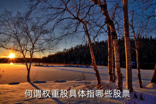 什么叫權(quán)重股，權(quán)重股與小盤股的區(qū)別在那兒我想數(shù)下有多少權(quán)重股有多少小盤股