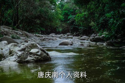 唐慶南為什么被逮捕，唐慶南被判刑