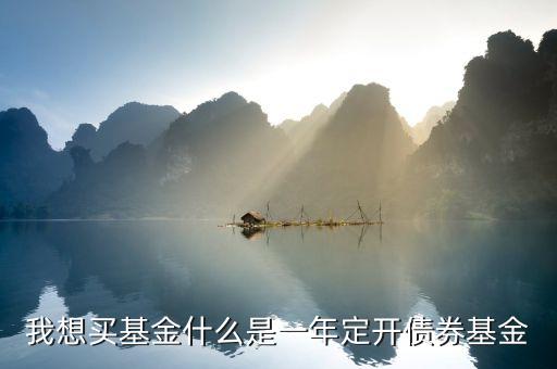 定開債券是什么意思，我想買基金什么是一年定開債券基金