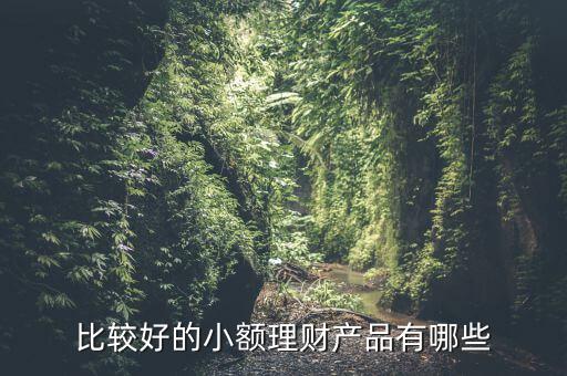 有什么小額理財(cái)產(chǎn)品，小額理財(cái)投資產(chǎn)品有哪些
