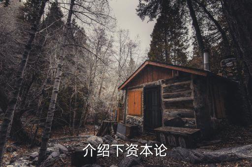 資本論是什么發(fā)表的，資本論 是馬克思寫的不