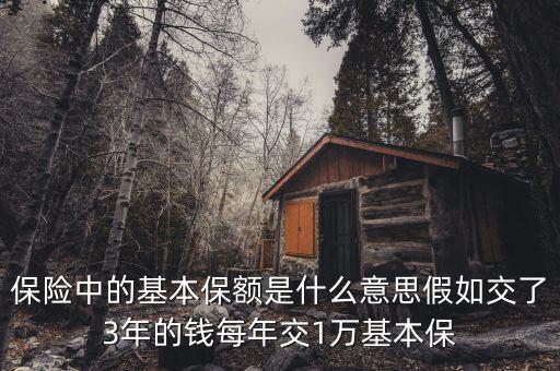 基本保額是什么意思，基本保險(xiǎn)金額是什么意思