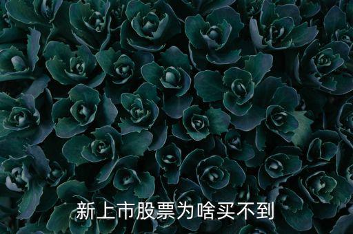 為什么新股我總買不到，新上市股票為啥買不到