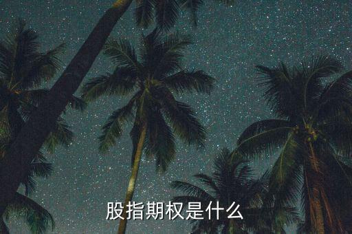 股指期權是什么