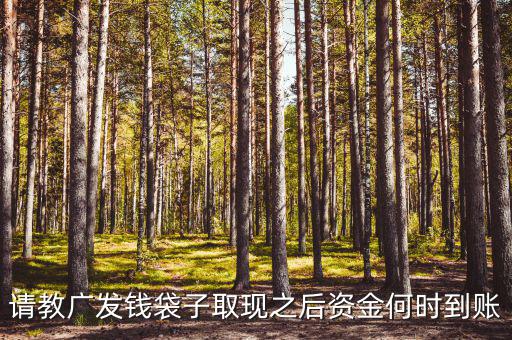 廣發(fā)錢袋子墊資什么時候，廣發(fā)錢袋子前天周末為什么沒有收益今天周一收益還沒出來