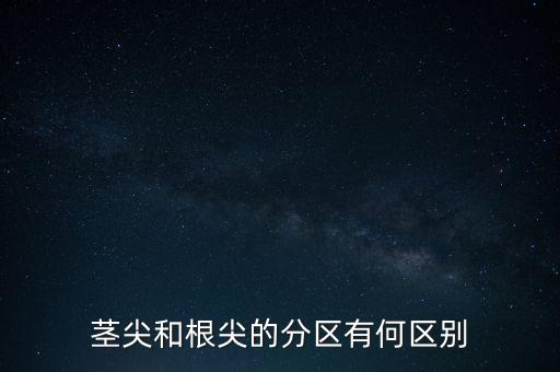 外高橋分區(qū)指按部屬于什么級(jí)別，上海市外高橋保稅區(qū)是屬于什么區(qū)