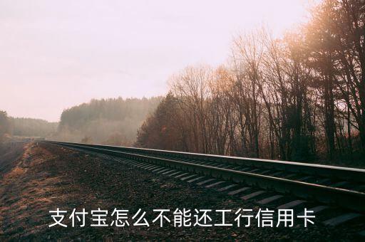 支付寶為什么不能還信用卡，支付寶怎么不能還工行信用卡