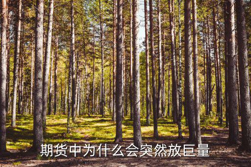 做期貨為什么，期貨的來源是什么