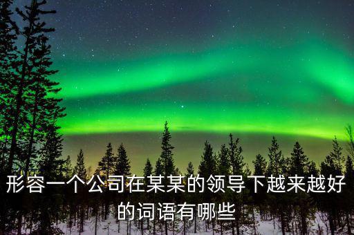 形容一個(gè)公司在某某的領(lǐng)導(dǎo)下越來越好的詞語有哪些