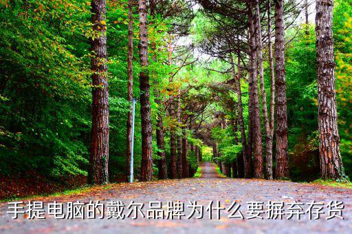 戴爾用信息代替庫(kù)存的后果是什么，我的筆記本電腦是DELL的前幾天買(mǎi)的人家二手貨他把系統(tǒng)的信