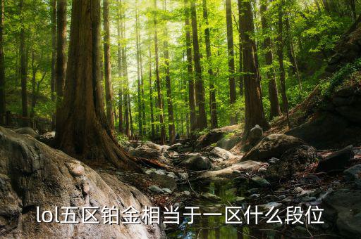 鉑金三什么水平，鉑金純度有幾個(gè)檔次