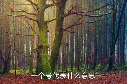一個(gè)號代表什么意思