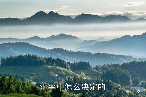 匯率是由什么決定的，人民幣匯率是由哪些因素決定的